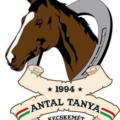 Antal Tanya Lovas Sport Club Sport Egyesület