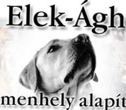 Elek-Ágh Állatmenhely Alapítvány