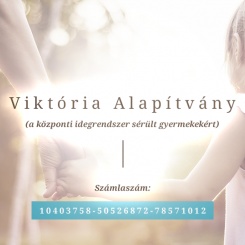 Viktória Alapítvány a központi idegrendszer sérült gyermekekért